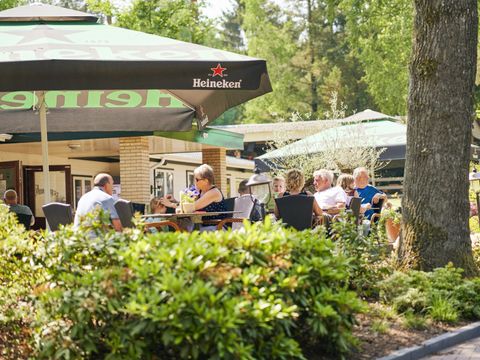 Vakantiepark Het Lierderholt - Apeldoorn - Image N°13