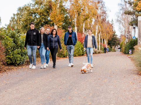 Vakantiepark Leukermeer - Bergen - Image N°34