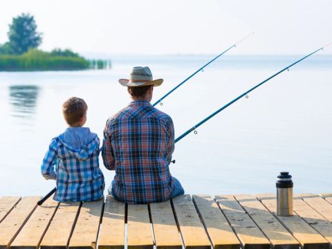 Summio Vakantiepark It Wiid - Camping Tytsjerksteradiel - Image N°4