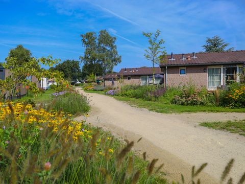 Recreatiepark De Boshoek - Barneveld - Image N°7