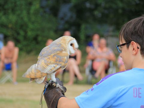 Camping de Watertoren - Landgraaf