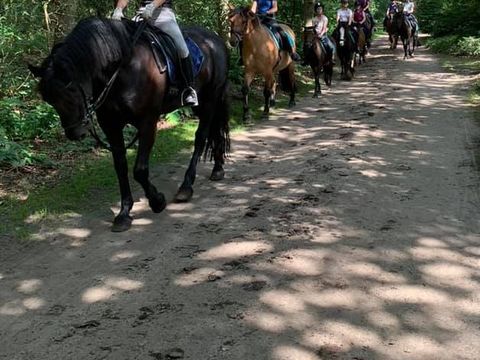 Vakantieoord De Bronzen Emmer - Coevorden - Image N°3