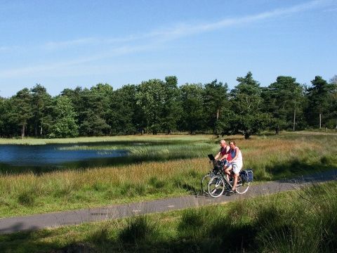 Vakantiepark Hölte - Rijssen-Holten - Image N°3