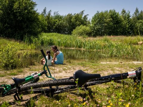Landal Orveltermarke - Mitte-Drenthe