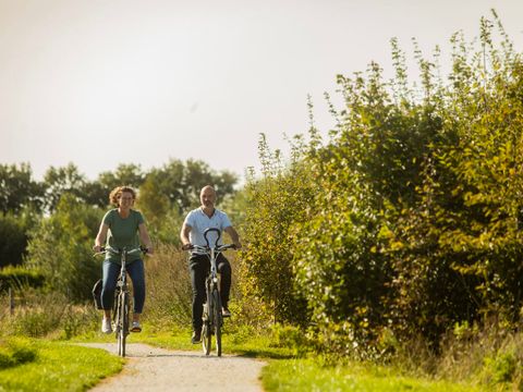 Landal Orveltermarke - Mitte-Drenthe - Image N°3