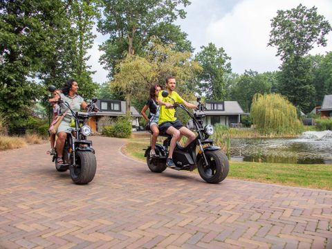 TopParken Landgoed de Scheleberg - Ede
