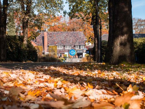 TopParken Landgoed de Scheleberg - Ede - Image N°29