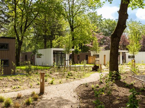 TopParken Bospark Ede - Ede - Image N°33