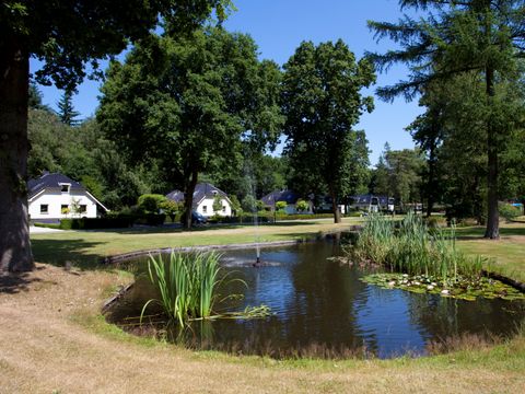 TopParken Bospark Ede - Ede - Image N°34