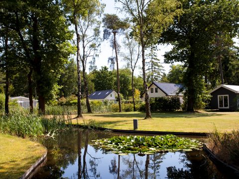 TopParken Bospark Ede - Ede - Image N°35