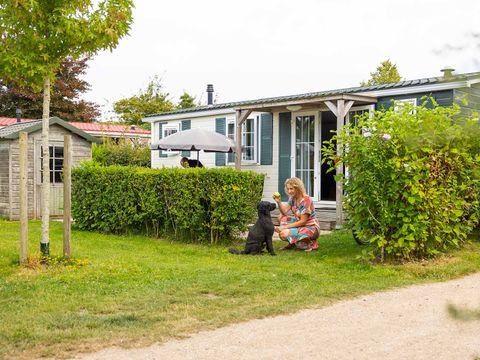 Molecaten Park Wijde Blick - Renesse - Image N°0