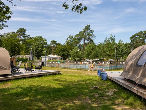 Molecaten Park De Koerberg - Heerde - Image N°3