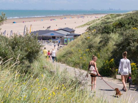 Molecaten Park Hoogduin - Cadzand - Image N°5