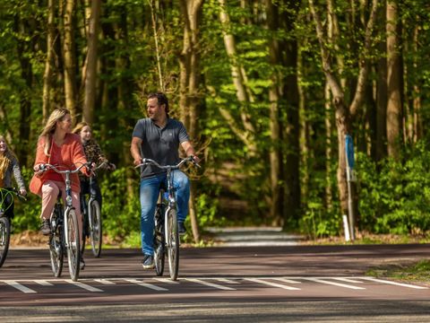 EuroParcs Spaarnwoude - Haarlemmermeer - Image N°13