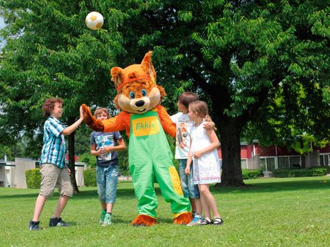 Roompot Vakantiepark Schin op Geul - Camping Valkenburg an der Geul - Image N°2