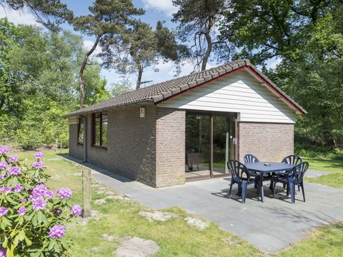 Vakantiepark Westerbergen - De Wolden - Image N°0