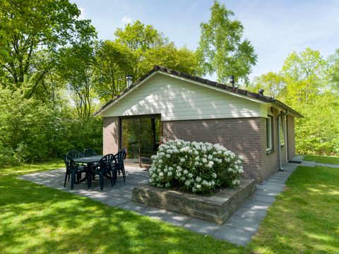 Vakantiepark Westerbergen - Camping De Wolden - Image N°0