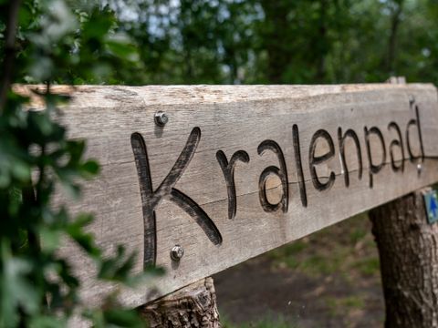 Vakantiepark Westerbergen - De Wolden - Image N°53