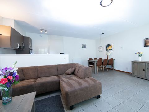 Horsetellerie Rheezerveen - Camping Hardenberg - Image N°3