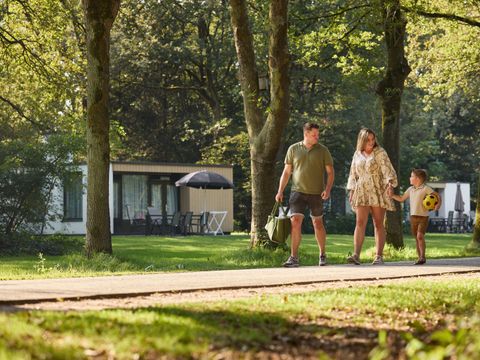 RCN Vakantiepark de Flaasbloem - Goirle - Image N°31