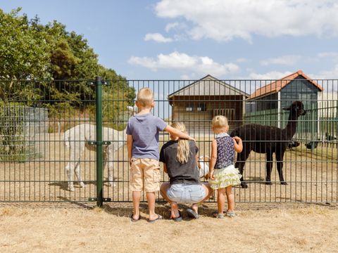 RCN Vakantiepark de Flaasbloem - Goirle - Image N°9