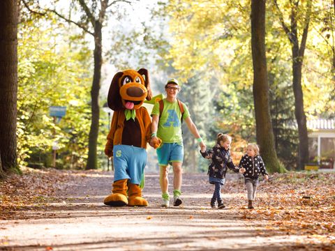 RCN Vakantiepark de Flaasbloem - Camping Goirle