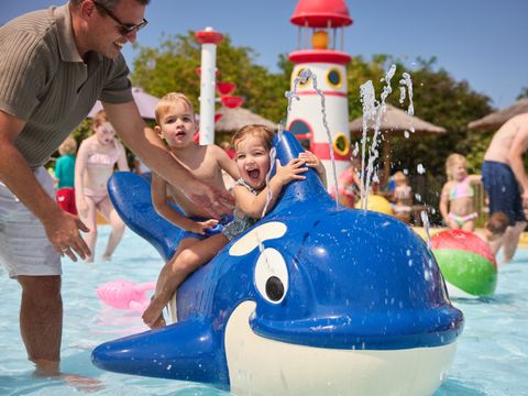 RCN Vakantiepark Toppershoedje - Camping Goeree-Overflakkee - Image N°2