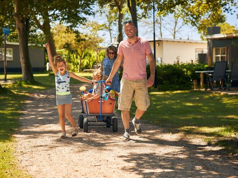 RCN Vakantiepark Toppershoedje - Goeree-Overflakkee - Image N°31
