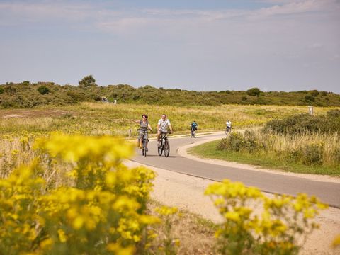 RCN Vakantiepark Toppershoedje - Goeree-Overflakkee - Image N°39