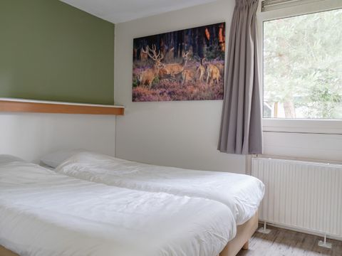 RCN Vakantiepark De Roggeberg - Ooststellingwerf - Image N°5