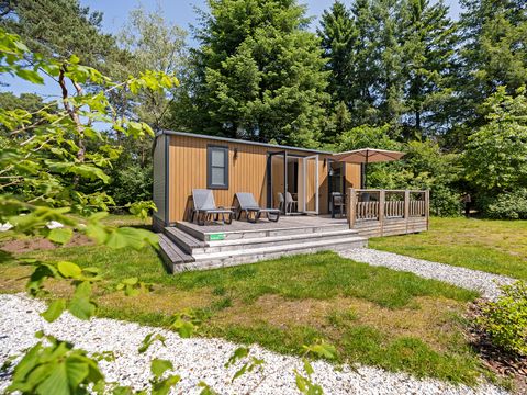 RCN Vakantiepark De Roggeberg - Ooststellingwerf - Image N°0