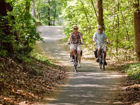 RCN Vakantiepark De Roggeberg - Camping Ooststellingwerf - Image N°2