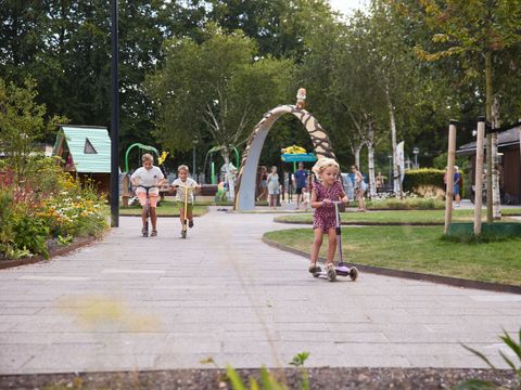 RCN Vakantiepark De Roggeberg - Ooststellingwerf - Image N°11