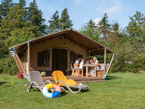 RCN Vakantiepark De Roggeberg - Camping Ooststellingwerf - Image N°2