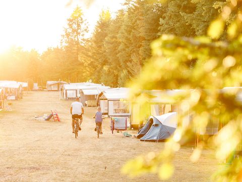 RCN Vakantiepark de Jagerstee - Epe - Image N°36