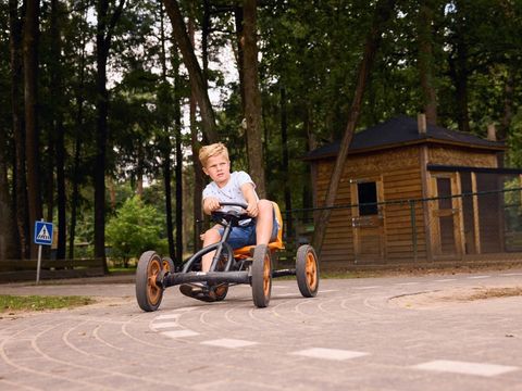RCN Vakantiepark de Jagerstee - Camping Epe - Image N°3