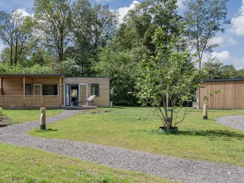 RCN Vakantiepark de Noordster - Westerveld - Image N°0