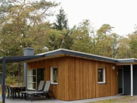RCN Vakantiepark de Noordster - Camping Westerveld - Image N°0