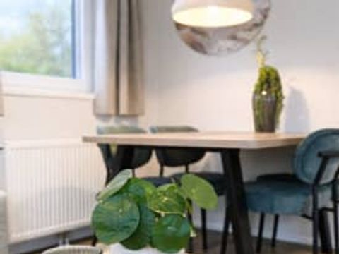 RCN Vakantiepark de Noordster - Westerveld - Image N°4