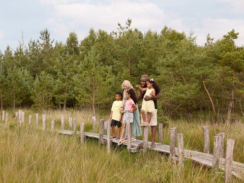 RCN Vakantiepark de Noordster - Westerveld - Image N°35