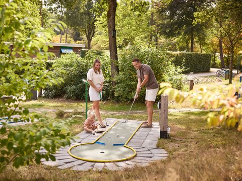 RCN Vakantiepark de Noordster - Westerveld - Image N°12