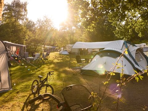 RCN Vakantiepark de Noordster - Westerveld - Image N°27