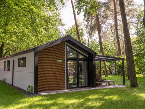 RCN Vakantiepark het Grote Bos - Camping Utrechtse Heuvelrug - Image N°0