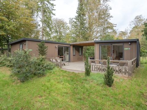 RCN Vakantiepark het Grote Bos - Utrechtse Heuvelrug - Image N°0