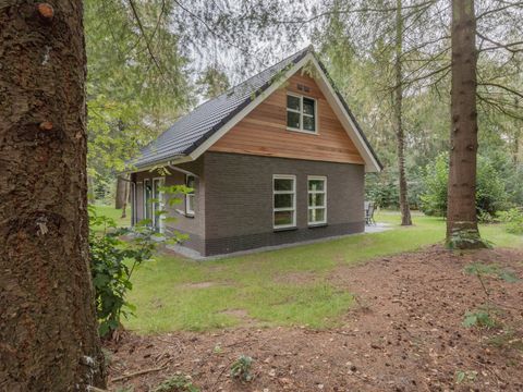 RCN Vakantiepark het Grote Bos - Utrechtse Heuvelrug - Image N°0