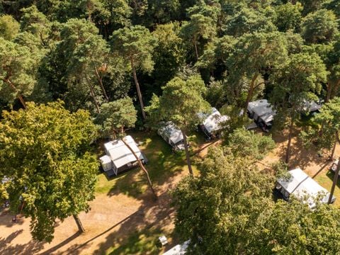 RCN Vakantiepark het Grote Bos - Camping Utrechtse Heuvelrug - Image N°0