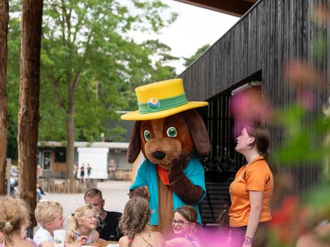 RCN Vakantiepark het Grote Bos - Utrechtse Heuvelrug - Image N°9