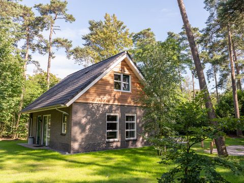 RCN Vakantiepark het Grote Bos - Utrechtse Heuvelrug - Image N°41
