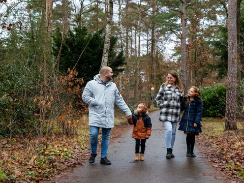 RCN Vakantiepark het Grote Bos - Utrechtse Heuvelrug - Image N°37