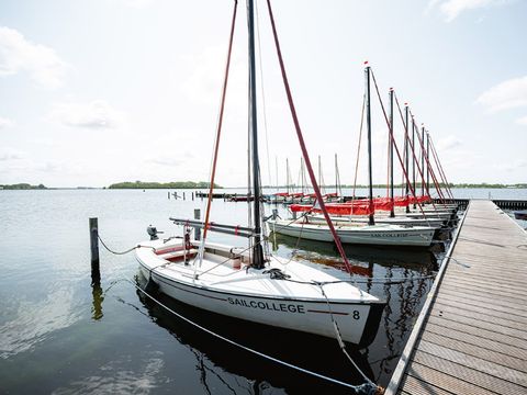 RCN Vakantiepark De Schotsman - Nord-Beveland - Image N°38